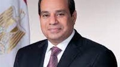 السيسى يدعو جميع الاطراف للتحلى بالحكمة حفاظا على السودان الشقيق