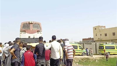 مصرع اسرة كاملة اسفل عجلات القطار بالبحيرة