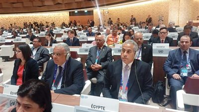 مدير 