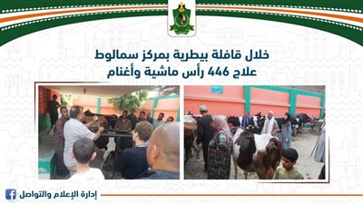 علاج 446 رأس ماشية وأغنام بمركز سمالوط بالمنيا