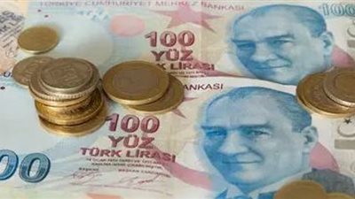 الليرة التركية تفقد 1% أمام الدولار
