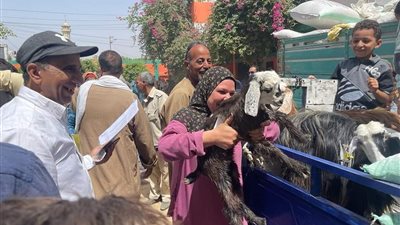 برنامج فرصة للتمكين الاقتصادي بمحافظة المنيا يستكمل جهوده