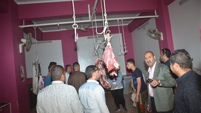 ضبط طن و٥٠٠كيلو من اللحوم المجمدة غير صالحة
