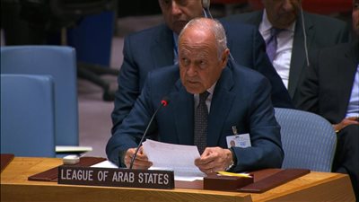 أبو الغيط بمجلس الأمن: لا ينبغي أن تطغى الأزمات العالمية المستجدة على القضايا العربية