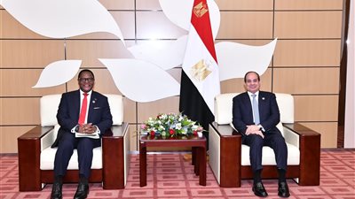 الرئيس السيسي يلتقي رئيس جمهورية مالاوي على هامش انعقاد قمة تجمع الكوميسا