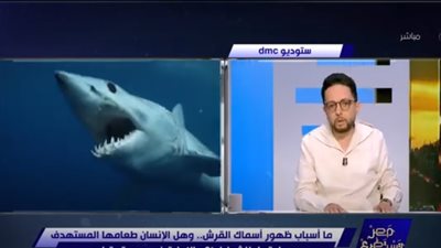 فايق: يوجد 300 نوع من أسماك القرش منهم 10 فقط تهاجم البشر