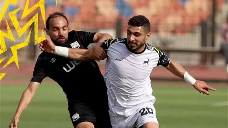زد يصعد للدوري المصري