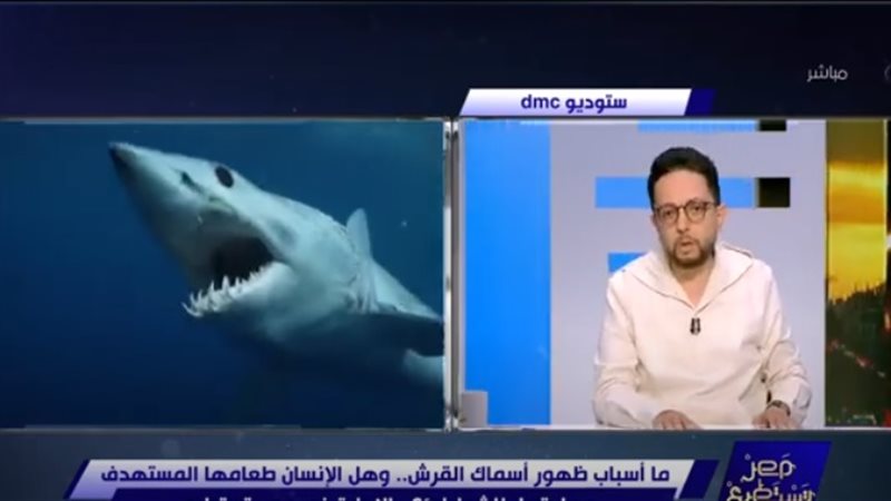 الإعلامي أحمد فايق