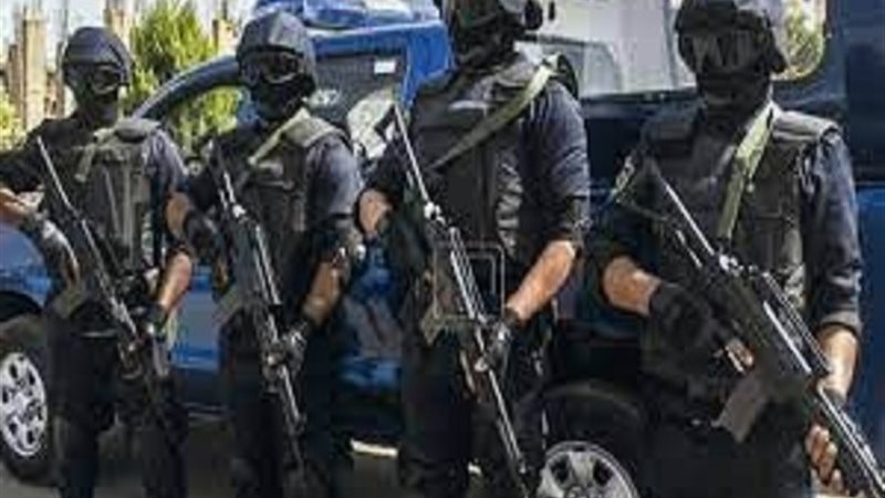بوابة الجمهورية