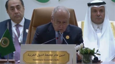 أبو الغيط يدعو إلى التكاتف بين الدول العربية ودول الباسيفيك