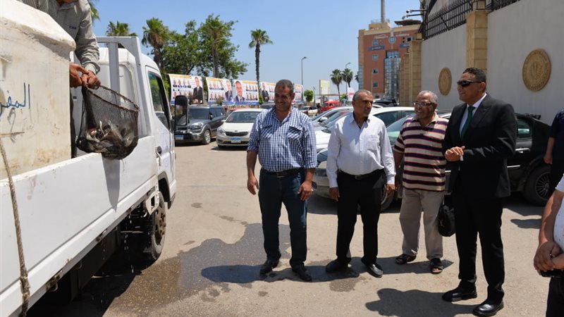 بوابة الجمهورية