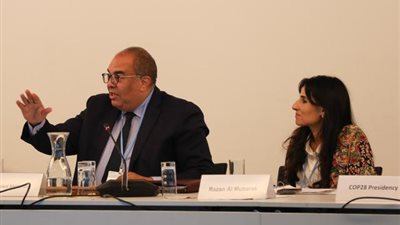 محيي الدين: مؤتمر الأطراف أولى اهتمامًا بالتكيف مع تغير المناخ