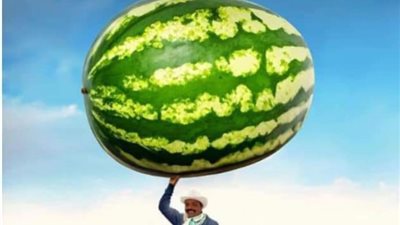 محمد هنيدي: سرقت بوستر فيلم تامر حسني والأخير يعلق: براحتك يا نجم