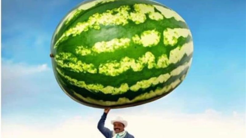بوستر محمد هنيدي