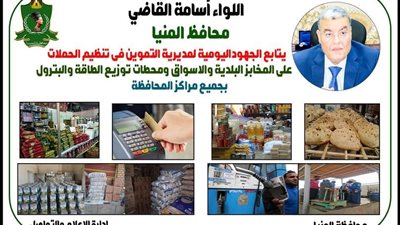 تحرير 57 محضراً تموينياً خلال حملات تفتيشية لضبط الأسواق بالمنيا