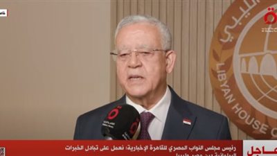جبالي: نعمل على تبادل الخبرات البرلمانية بين مصر وليبيا