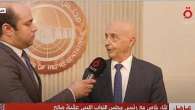 عقيلة صالح: المستشار حنفي جبالي أول رئيس برلمان عربي يزور 