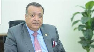 سعد الدين: قطاع البترول والطاقة الأكثر جذباً للإستثمارات الاجنبية