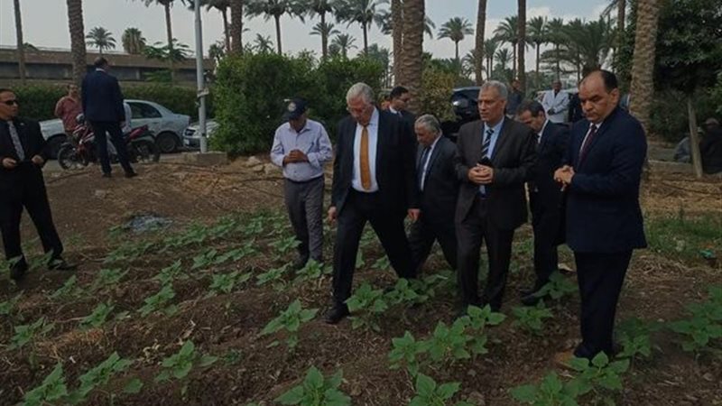 بوابة الجمهورية