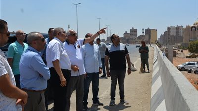 محافظ الجيزة يعاين نماذج طلاء عقارات الطريق الدائري بالطالبية.صور