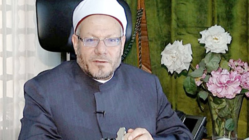 شوقي علام