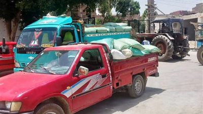 ضبط 24 طن قمح بدون ترخيص بمركزى ديرمواس و المنيا