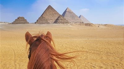 8 انشطة يمكن القيام بها فى اجازة عيد الاضحى