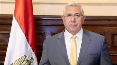 ذبح الأضاحي بالمجازر الحكومية مجانا طوال أيام العيد.. فيديو