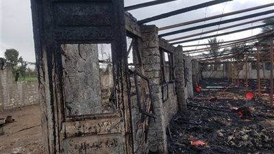 حريق هائل يلتهم مزرعة دواجن بالشرقية