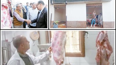 المحافظات وفرت اللحوم البلدية.. بأسعار تنافسية
