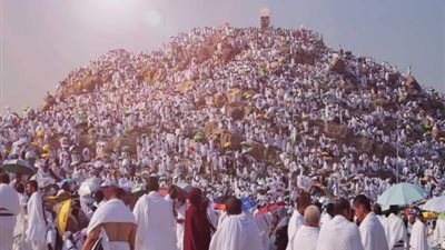 بدء تصعيد الحجاج المصريين الى صعيد عرفات
