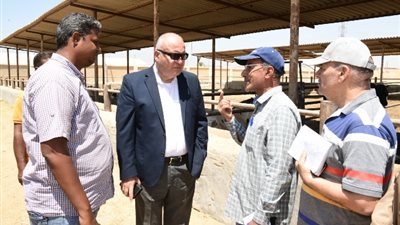 محافظ قنا يتفقد عددا من مشروعات الأمن الغذائى