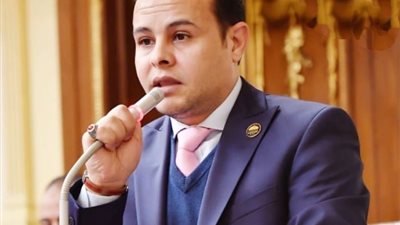برلماني: ثورة 30 يونيو حققت أهداف الوطن والمواطنين