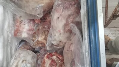 ضبط 750 كيلو لحوم بدون بيانات في كفر الشيخ
