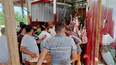 مليون جنيه غرامات مخالفات الشوادر والذبح بالأسكندرية خلال العيد