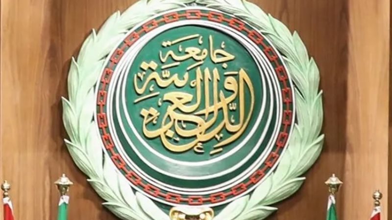 وزراء الخارجية العرب