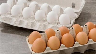 4 فروق بين البيض الابيض والبني