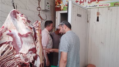 الصحة تعدم ٢٠ طن أغذية و١٣٣ منشأة مخالفة خلال ١٠ أيام