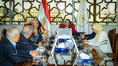 البيئة تناقش دعم مشروع إنتاج الأخشاب الـ«MDF» فى مصر