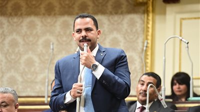 أشرف رشاد يطالب بتدخل دولي لحماية الفلسطينيين من العدوان