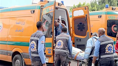 مصرع 3 في حادث تصادم سيارة نقل برصيف الطريق