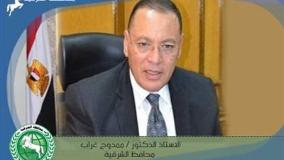 ضبط 6 طن أعلاف حيوانية مخلوطة بالقمح قبل تهريبها بفاقوس