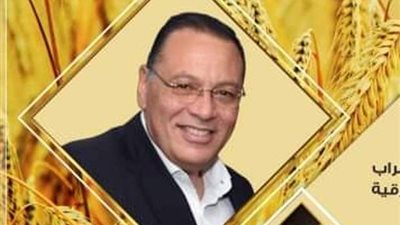 صوامع وشون الشرقية تستقبل ٥٣٤٩٢٦ طن و٥٥٨ كيلو قمح