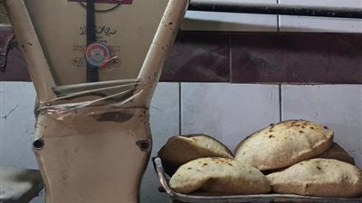 تحرير 106محضرا تموينيا متنوعا بالإسماعيلية