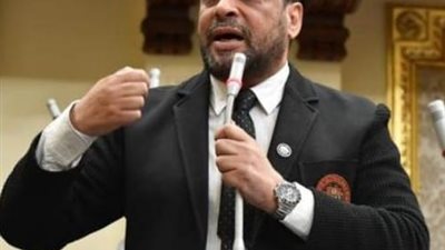 نائب: دعوة مصر لعقد قمة دول جوار السودان يستهدف الحفاظ على الدولة