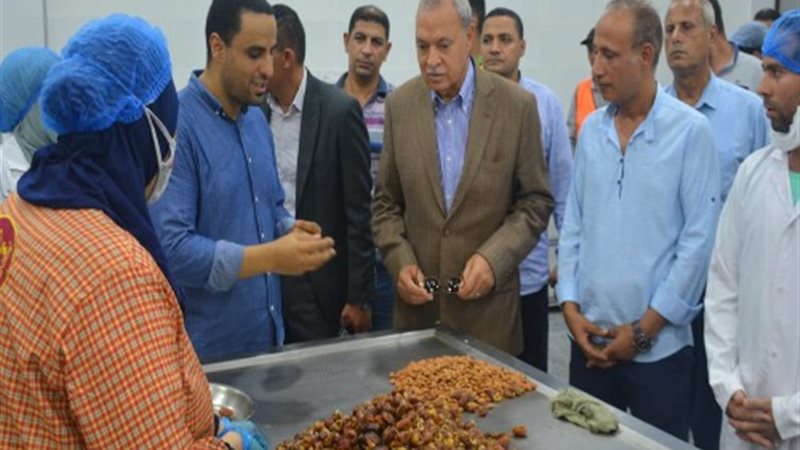 محافظ القليوبية يتفقد