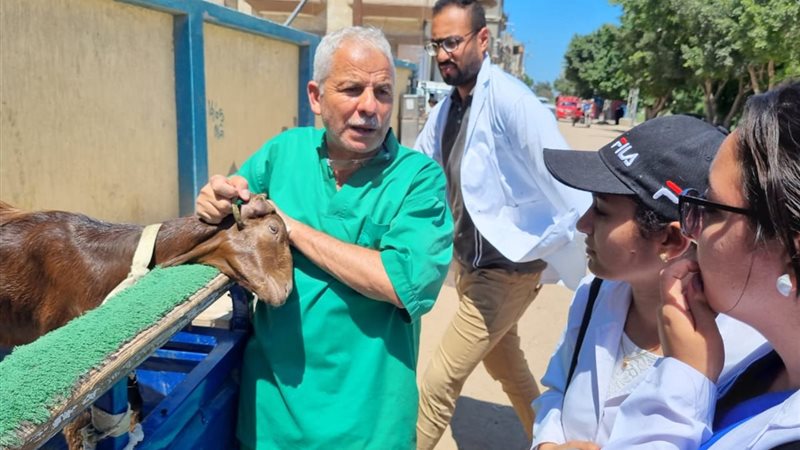 بوابة الجمهورية