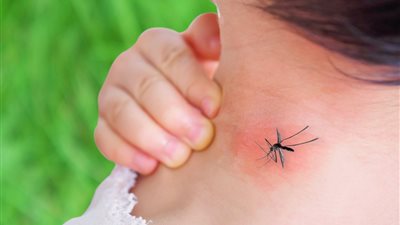 تعرف على الأعراض وطرق الوقاية من 