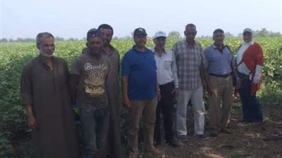 ندوة إرشادية عن زراعة محصول القطن لمزارعي قرية الربعماية