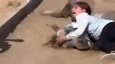 فارسة صغيرة تثير تعاطف رواد مواقع التواصل بسبب موت حصانها |فيديو